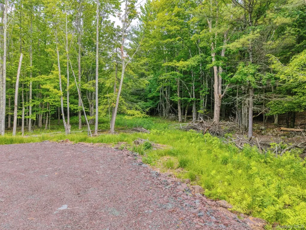 Tbd Boulder Brook Lots 33-38 Road Windham NY 12496