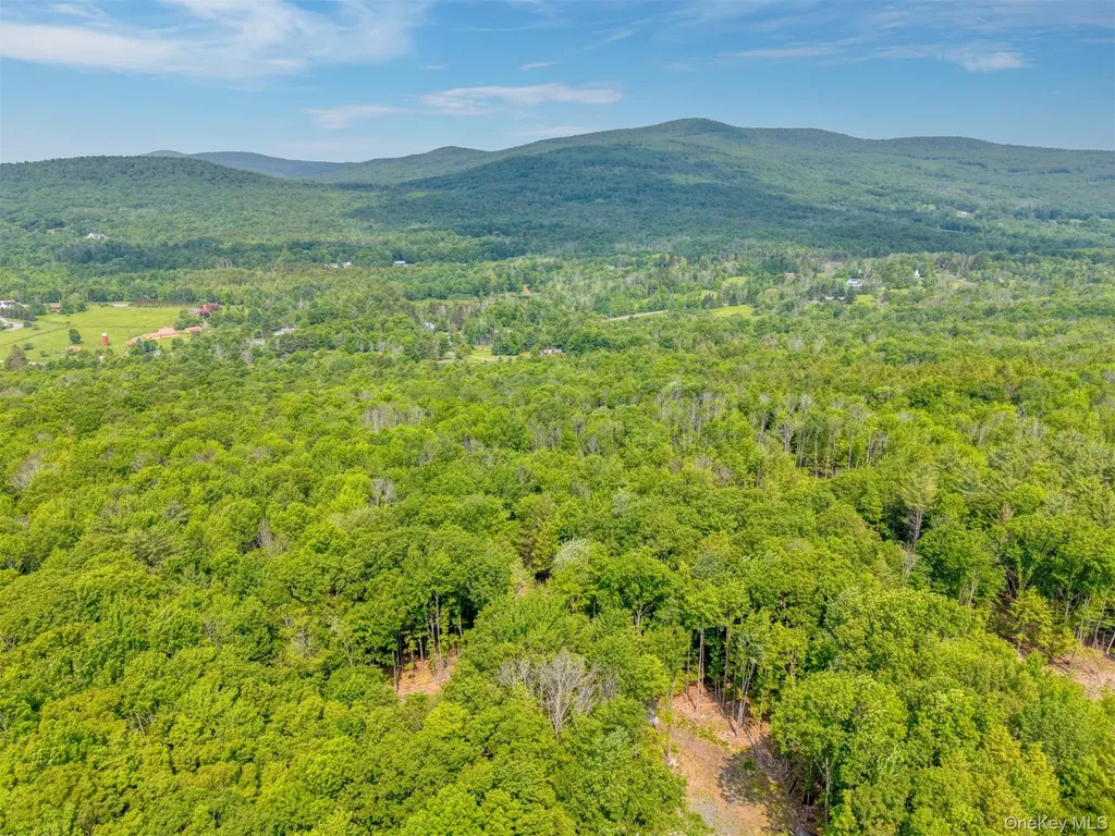 Tbd Boulder Brook Lots 33-38 Road Windham NY 12496