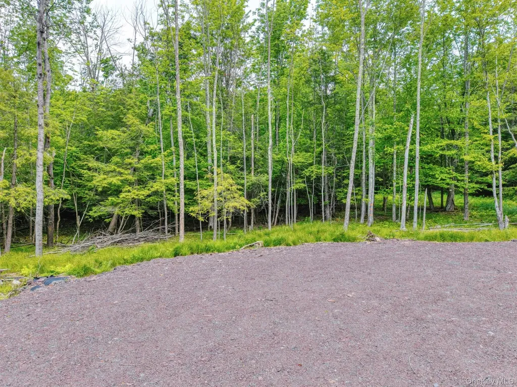 Tbd Boulder Brook Lots 33-38 Road Windham NY 12496