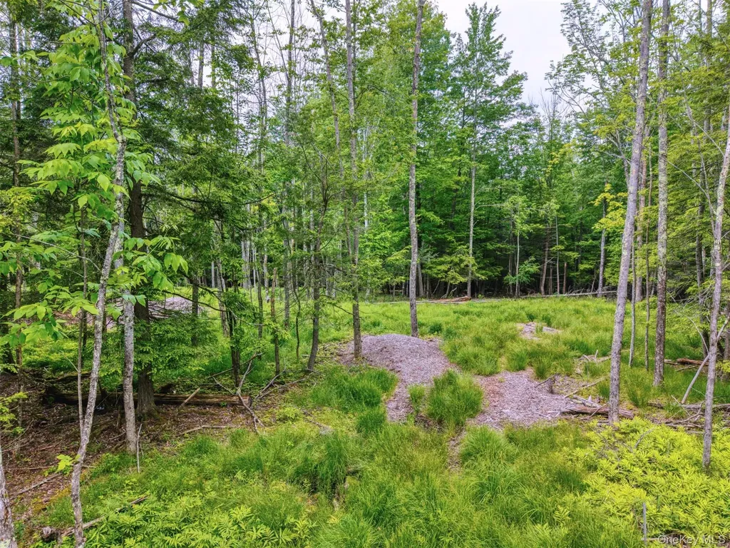 Tbd Boulder Brook Lots 33-38 Road Windham NY 12496