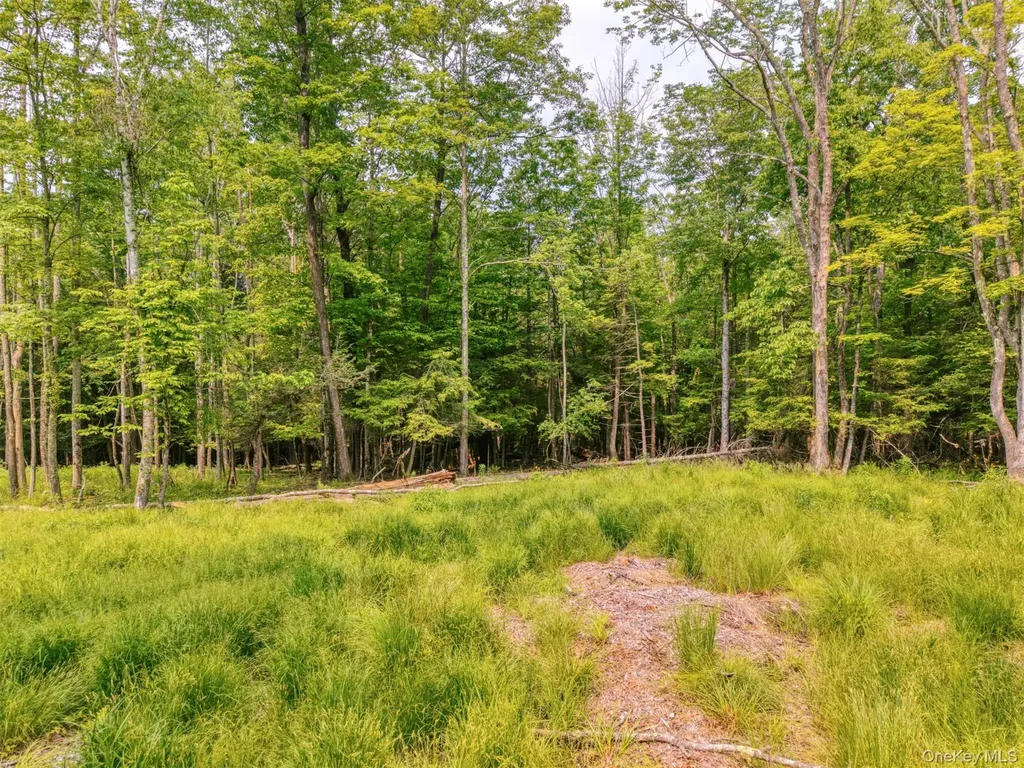 Tbd Boulder Brook Lots 33-38 Road Windham NY 12496