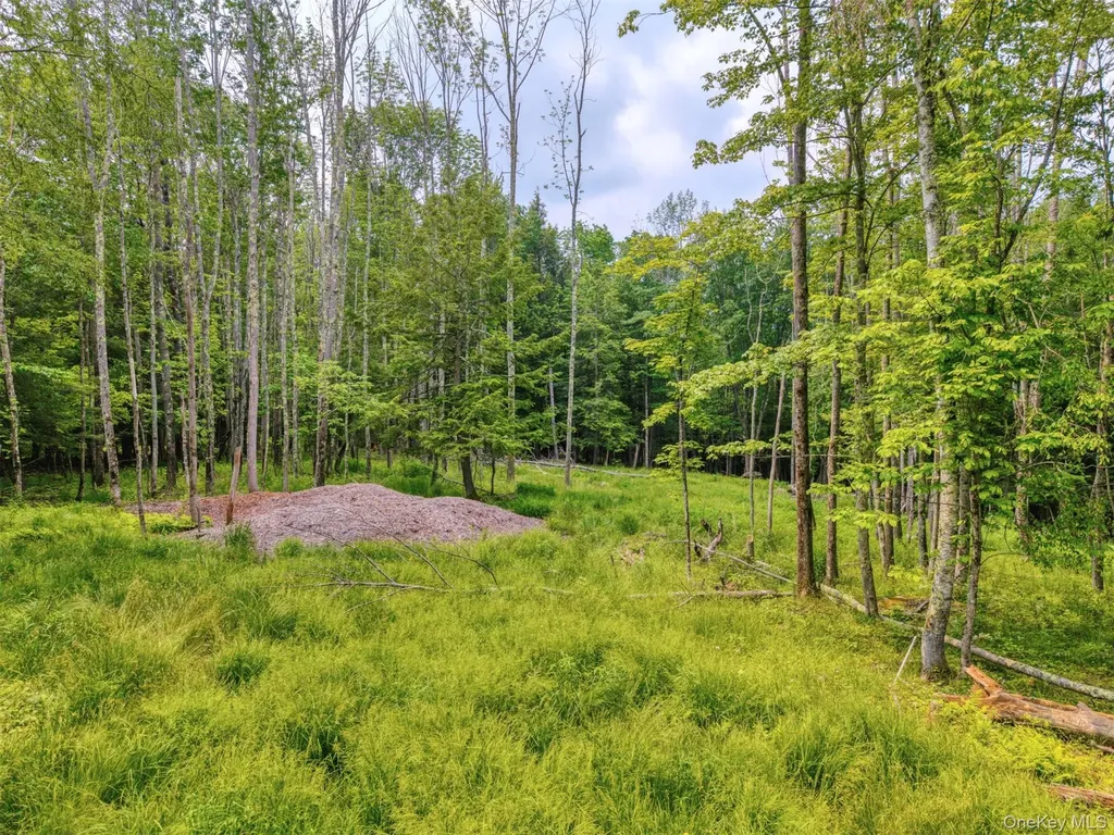 Tbd Boulder Brook Lots 33-38 Road Windham NY 12496