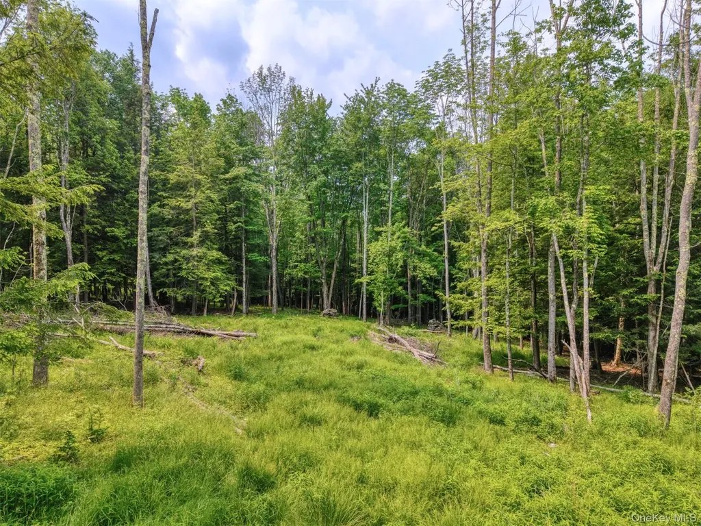 Tbd Boulder Brook Lots 33-38 Road Windham NY 12496