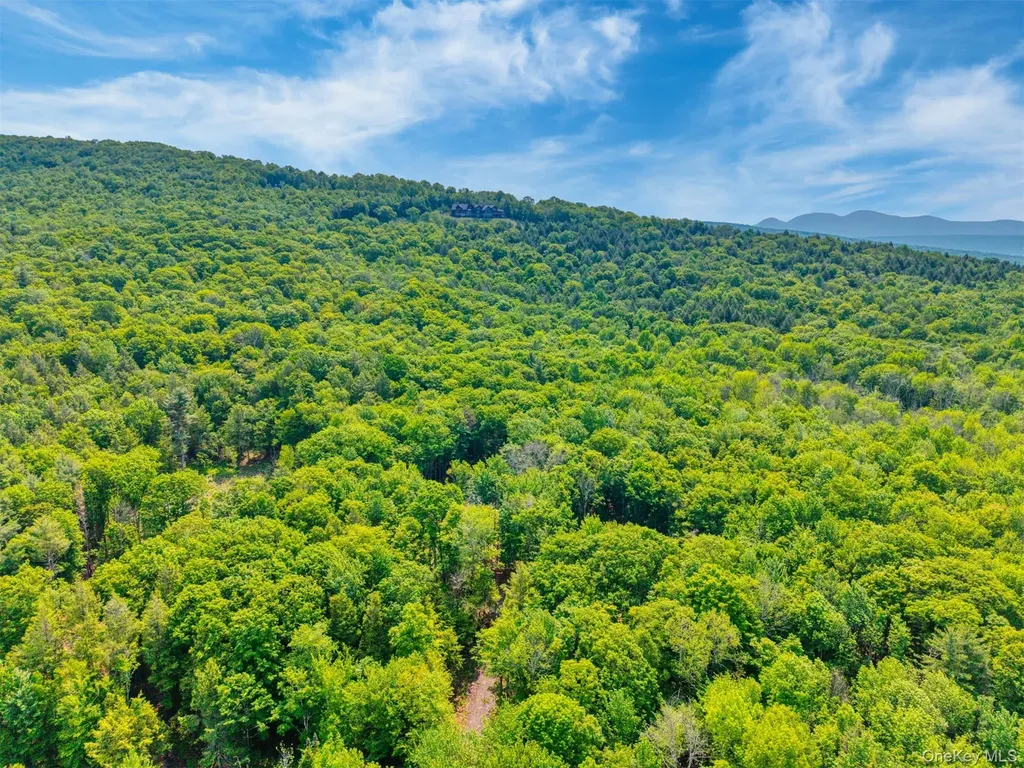 Tbd Boulder Brook Lots 33-38 Road Windham NY 12496