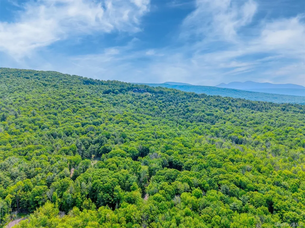 Tbd Boulder Brook Lots 33-38 Road Windham NY 12496