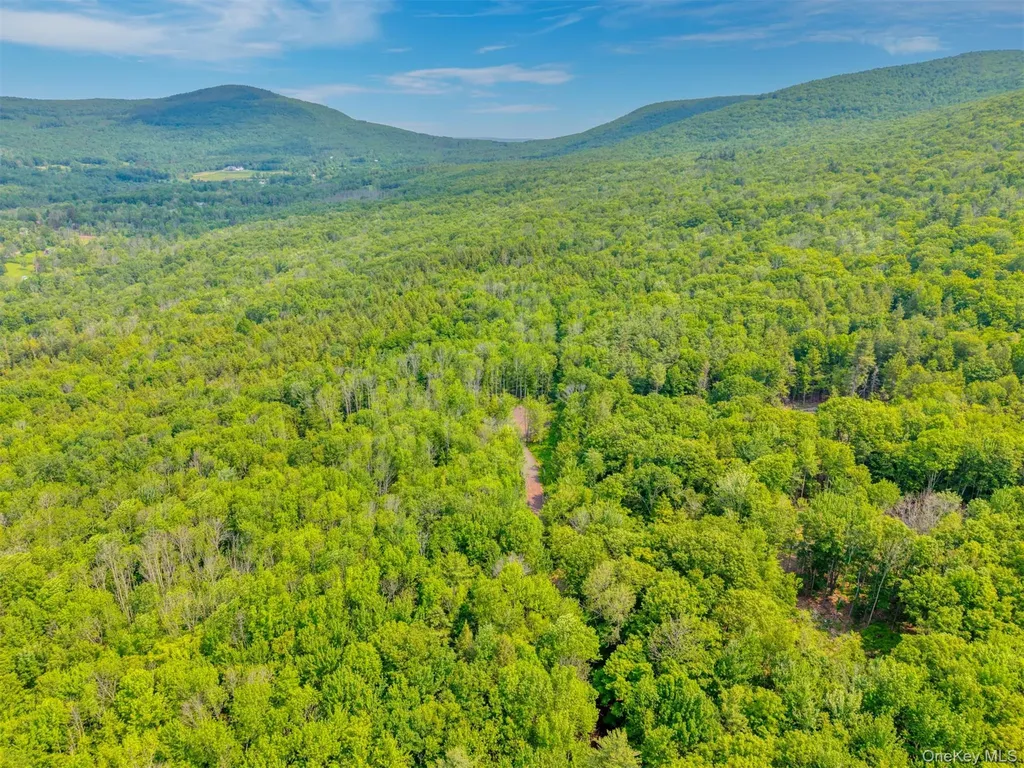 Tbd Boulder Brook Lots 33-38 Road Windham NY 12496