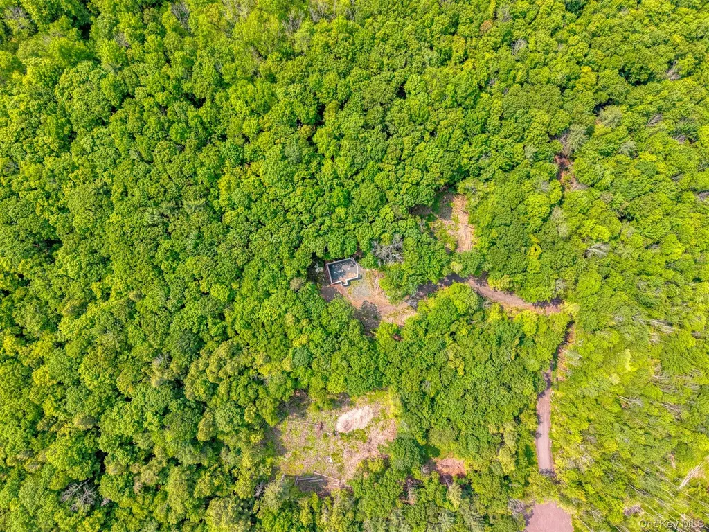 Tbd Boulder Brook Lots 33-38 Road Windham NY 12496