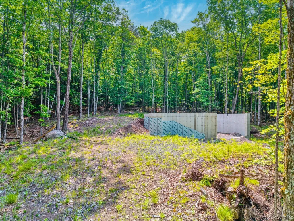 Tbd Boulder Brook Lots 33-38 Road Windham NY 12496