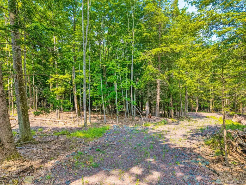 Tbd Boulder Brook Lots 33-38 Road Windham NY 12496
