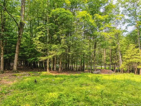 Tbd Boulder Brook Lots 33-38 Road Windham NY 12496