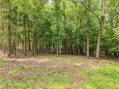Tbd Boulder Brook Lots 33-38 Road Windham NY 12496