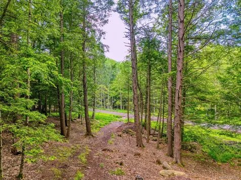 Tbd Boulder Brook Lots 33-38 Road Windham NY 12496