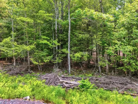 Tbd Boulder Brook Lots 33-38 Road Windham NY 12496