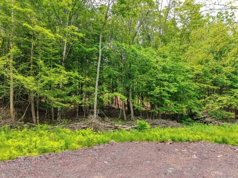 Tbd Boulder Brook Lots 33-38 Road Windham NY 12496