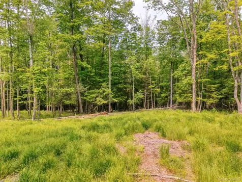 Tbd Boulder Brook Lots 33-38 Road Windham NY 12496