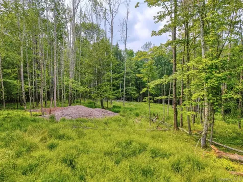 Tbd Boulder Brook Lots 33-38 Road Windham NY 12496