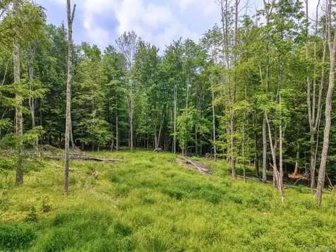 Tbd Boulder Brook Lots 33-38 Road Windham NY 12496