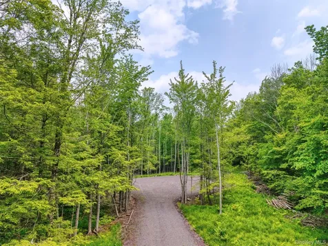 Tbd Boulder Brook Lots 33-38 Road Windham NY 12496