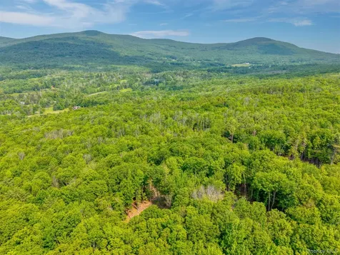 Tbd Boulder Brook Lots 33-38 Road Windham NY 12496