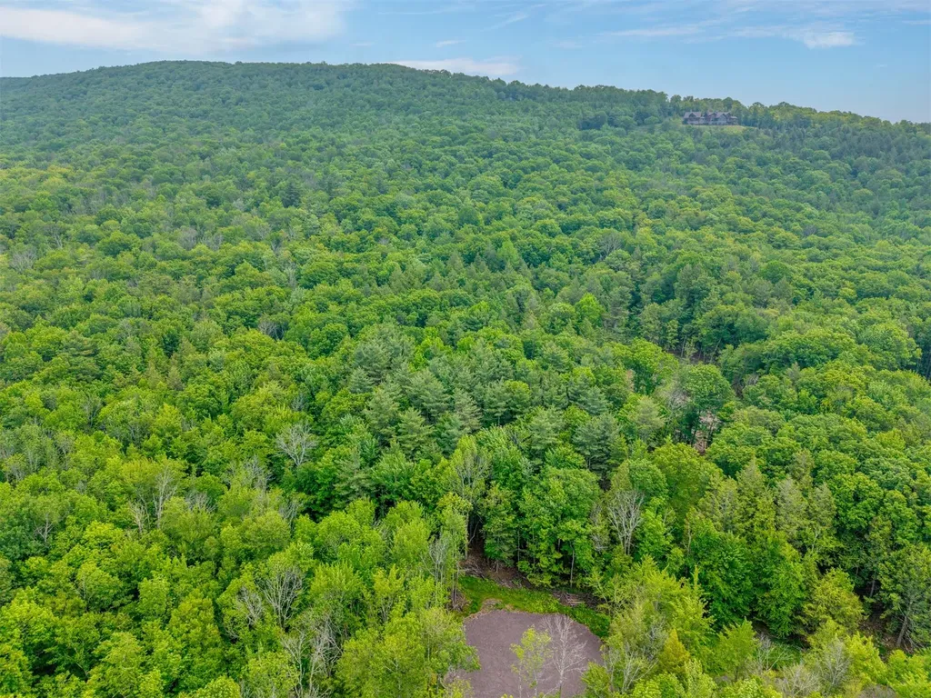 Tbd Boulder Brook Lot 11 Road Windham NY 12496