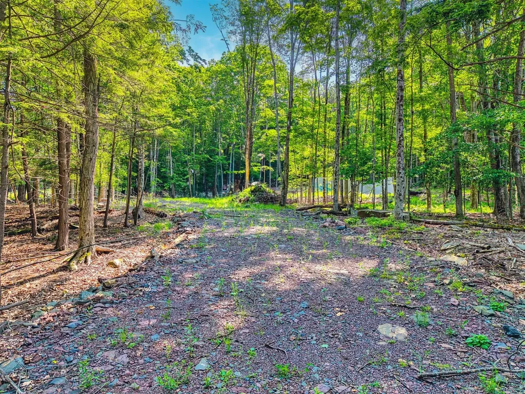 Tbd Boulder Brook Lot 11 Road Windham NY 12496