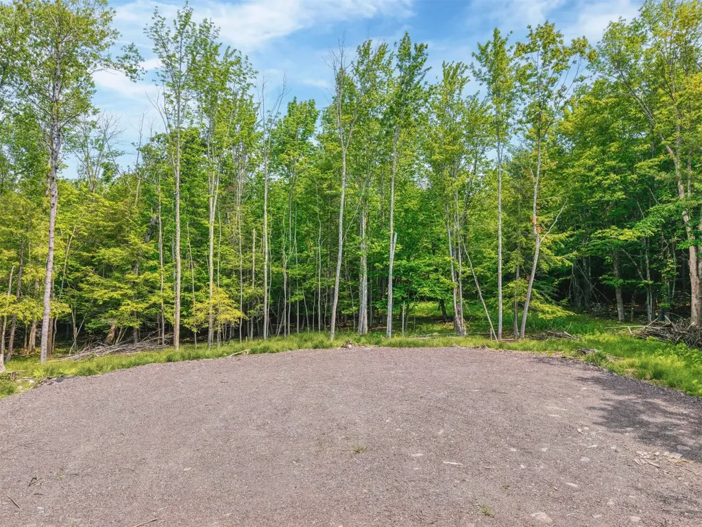 Tbd Boulder Brook Lot 11 Road Windham NY 12496