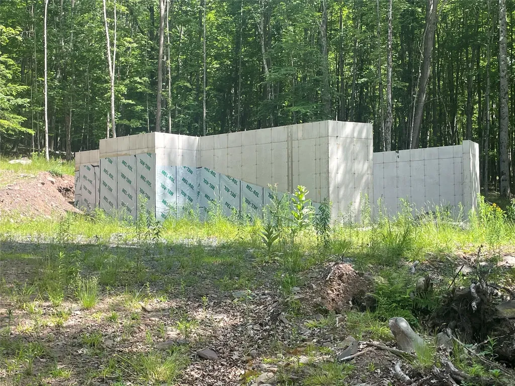Tbd Boulder Brook Lot 11 Road Windham NY 12496