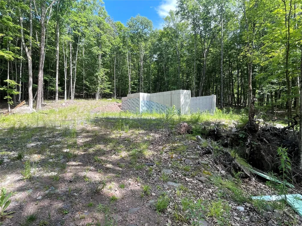 Tbd Boulder Brook Lot 11 Road Windham NY 12496
