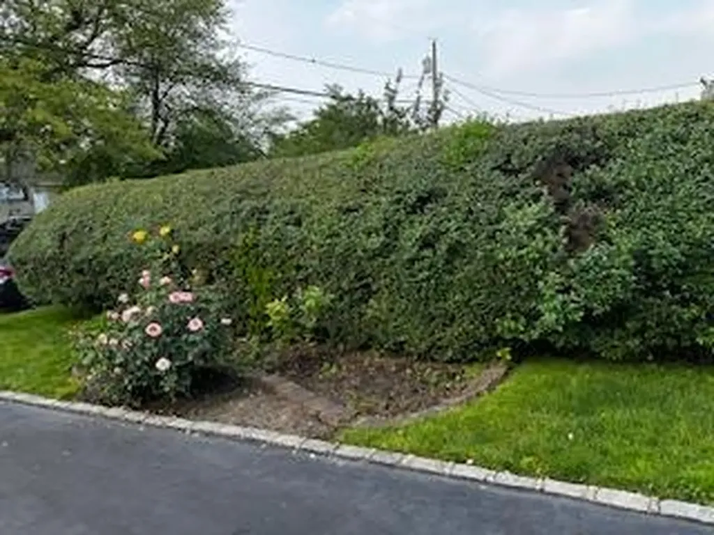 8 Hickory Street Central Islip NY 11722