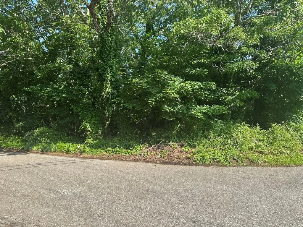 8 Woodside Mastic Beach NY 11951