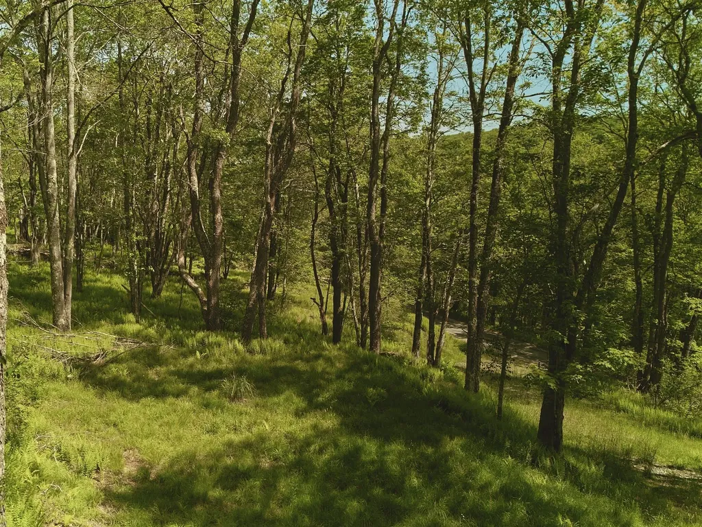 00 Benton Hollow Liberty NY 12754