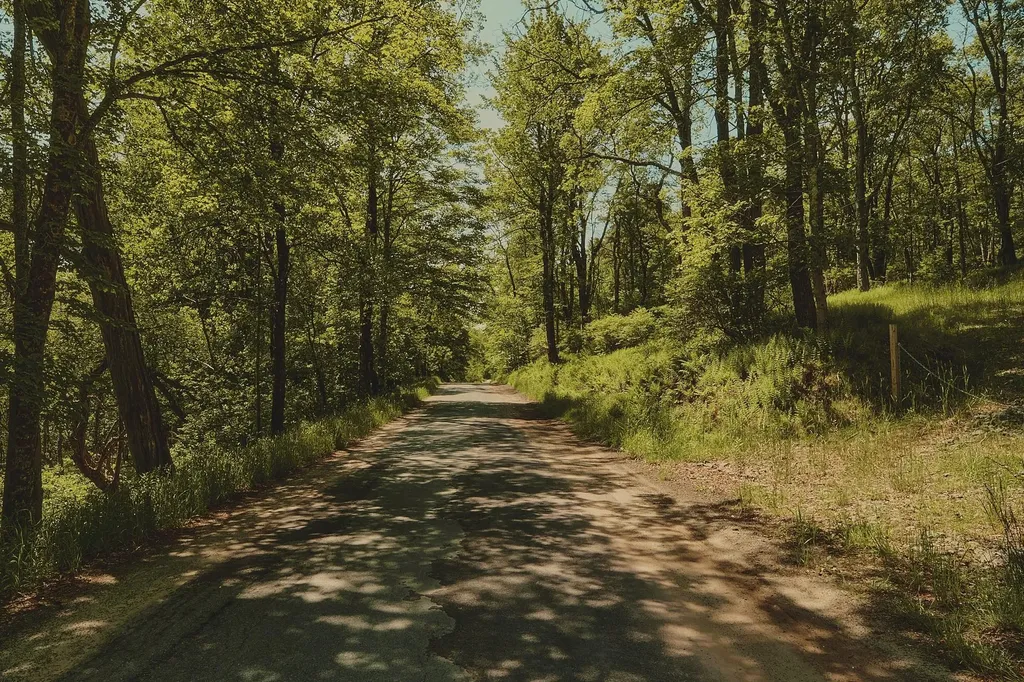 00 Benton Hollow Liberty NY 12754
