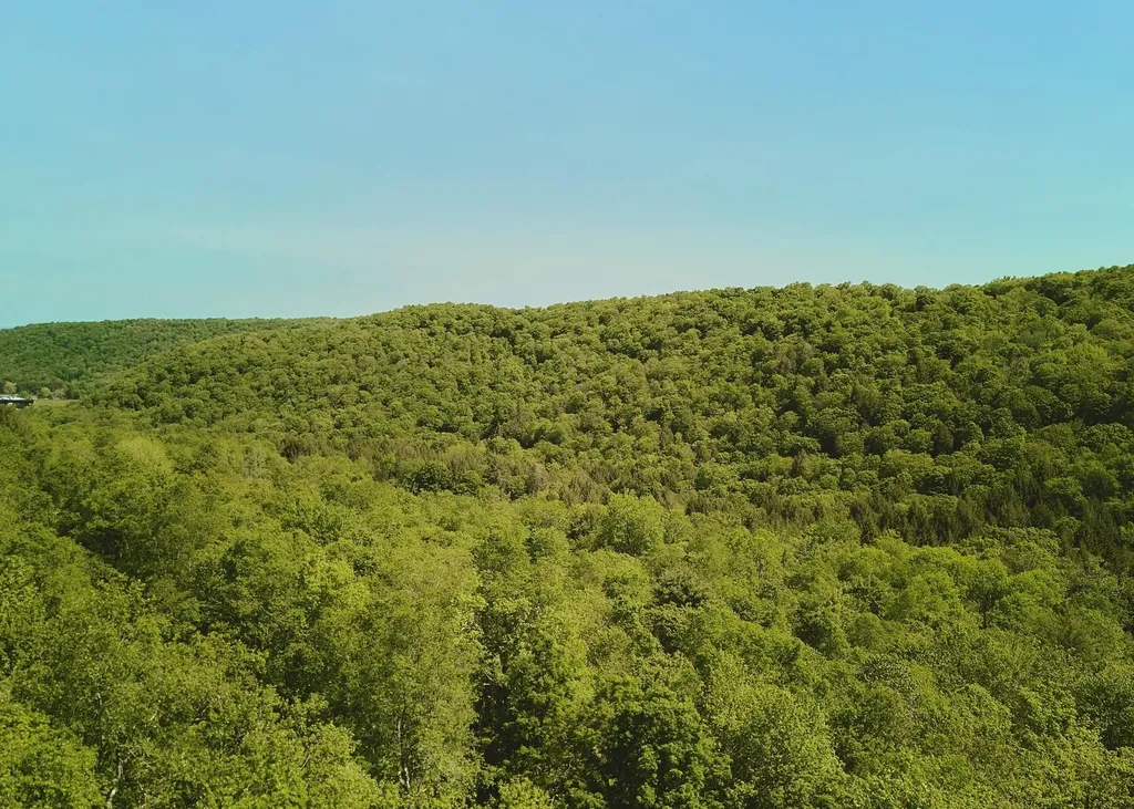 00 Benton Hollow Liberty NY 12754