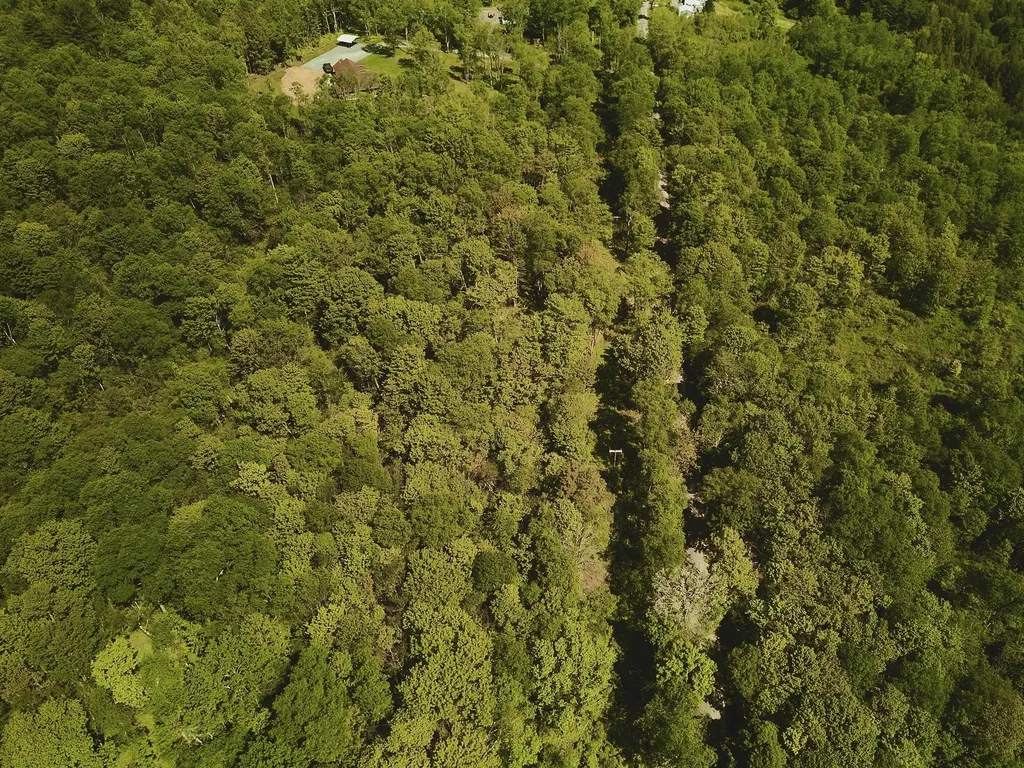 00 Benton Hollow Liberty NY 12754