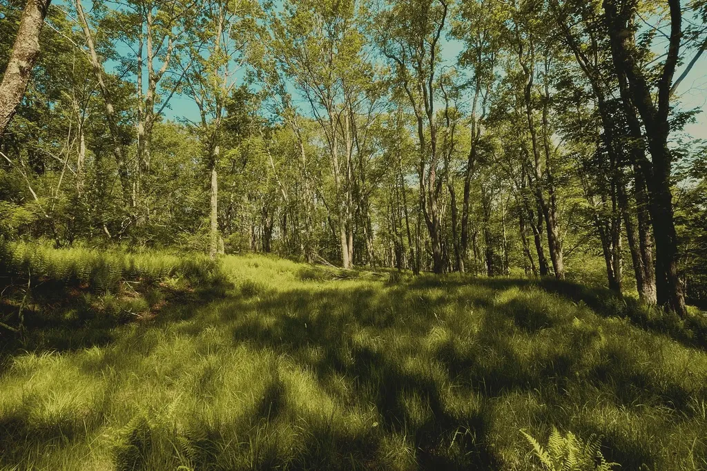 00 Benton Hollow Liberty NY 12754