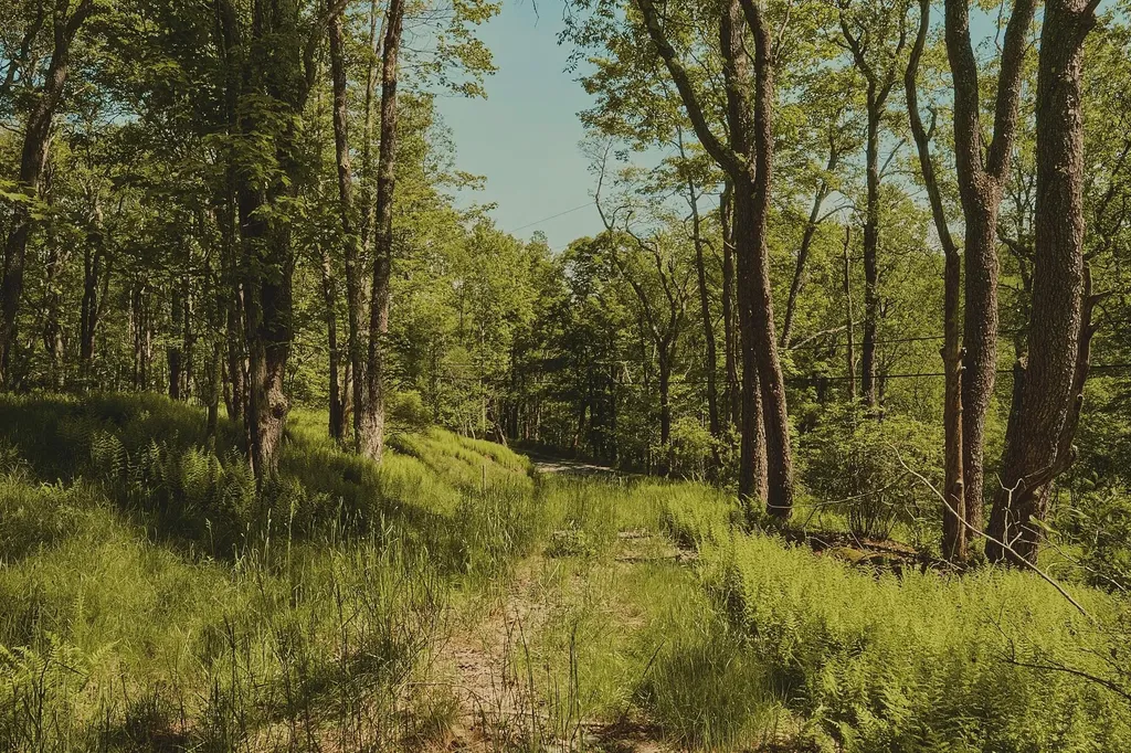 00 Benton Hollow Liberty NY 12754