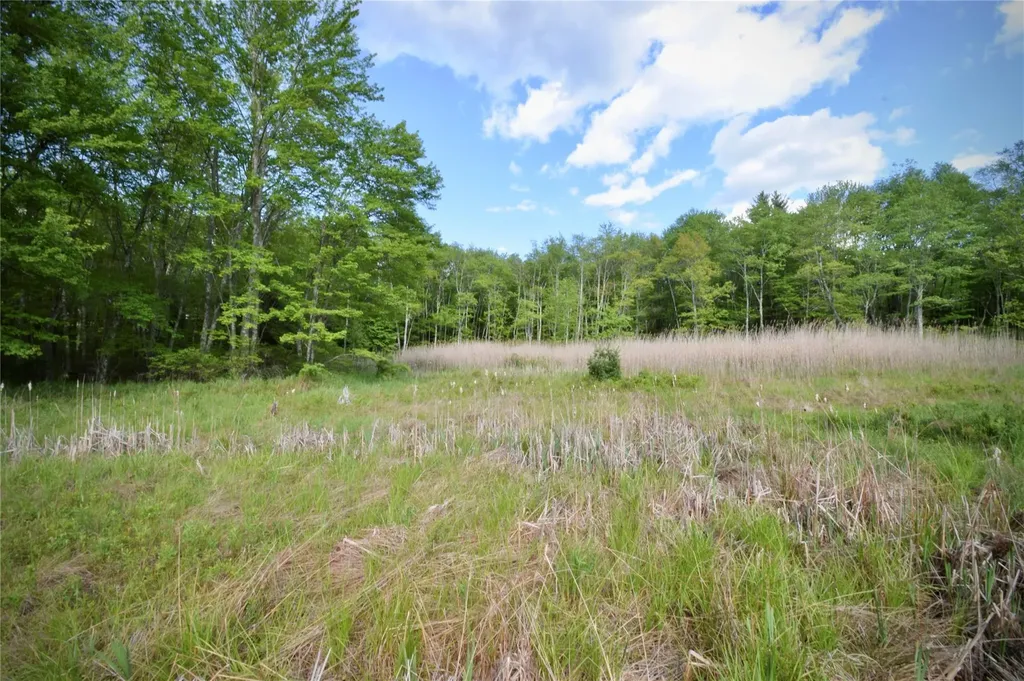 Route 52 Ellenville NY 12489