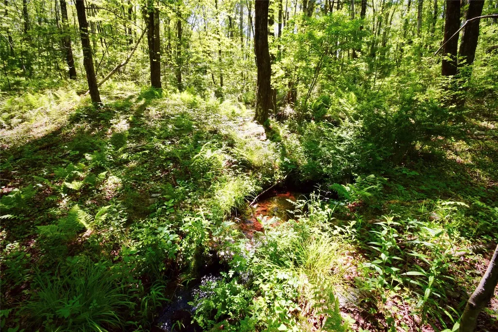 Route 52 Ellenville NY 12489