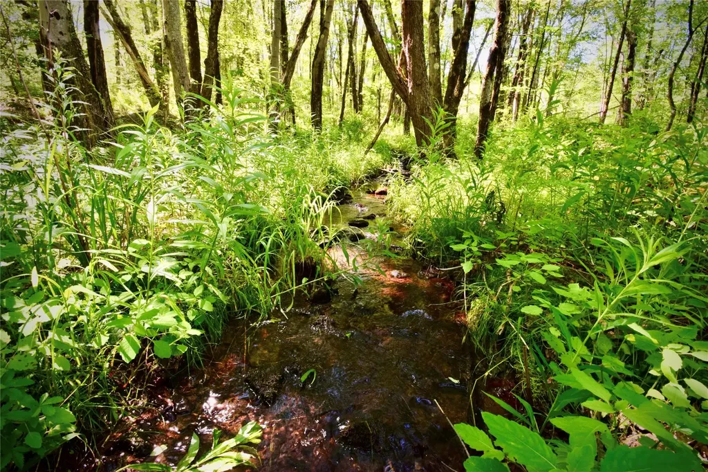 Route 52 Ellenville NY 12489
