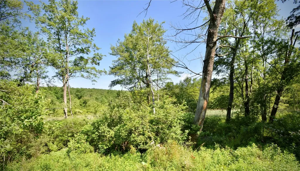 Route 52 Ellenville NY 12489