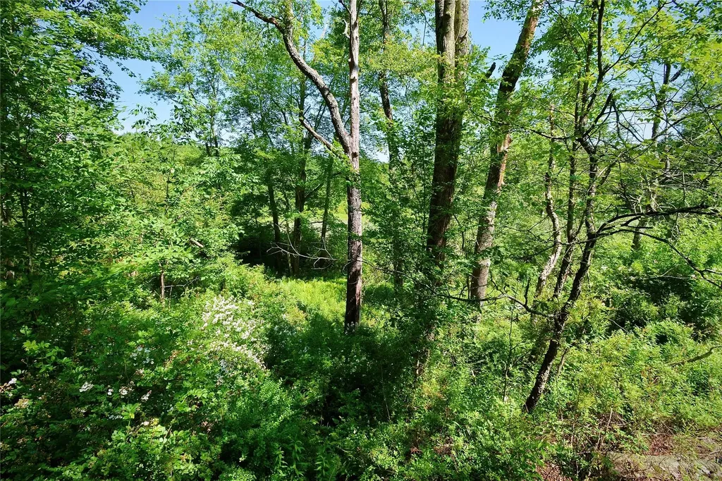 Route 52 Ellenville NY 12489
