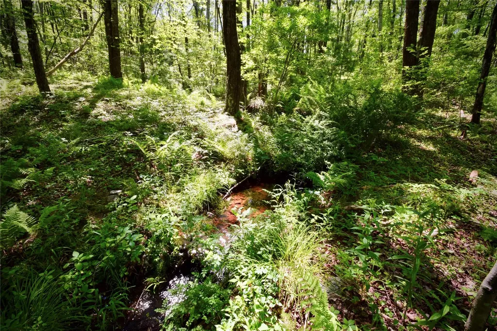 Route 52 Ellenville NY 12489