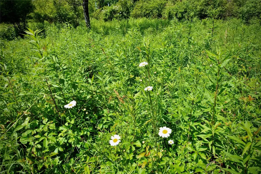 Route 52 Ellenville NY 12489
