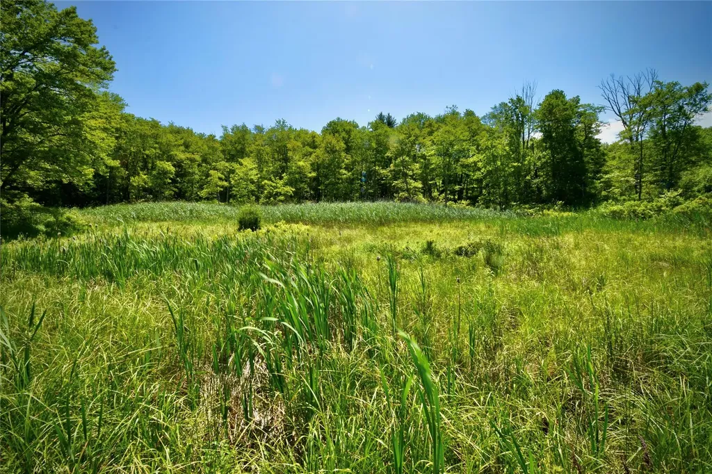 Route 52 Ellenville NY 12489