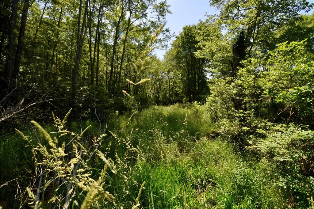 Route 52 Ellenville NY 12489