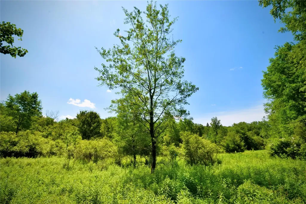 Route 52 Ellenville NY 12489
