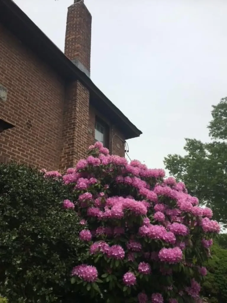 401 Oakland Avenue Cedarhurst NY 11516