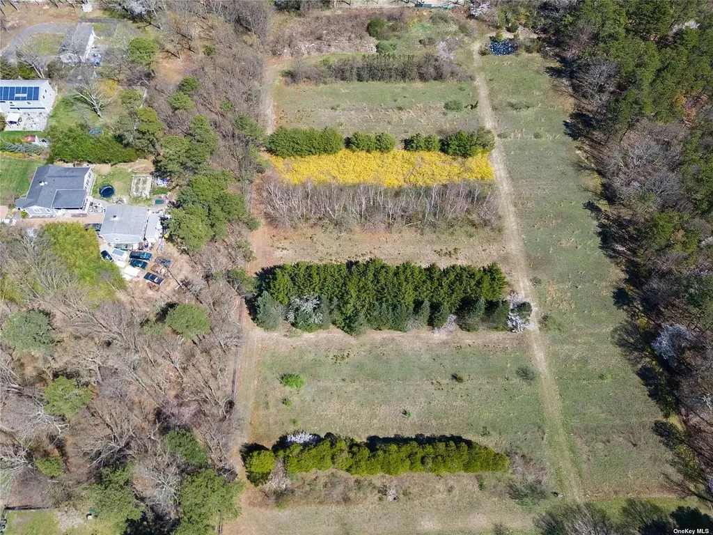 Cedarhurst Avenue Medford NY 11763