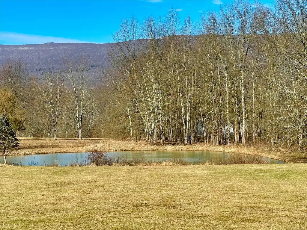 71 Saddleback Ridge Road Wallkill NY 12589