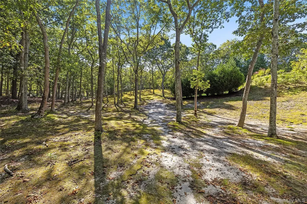 22 Old Trail Road Water Mill NY 11976